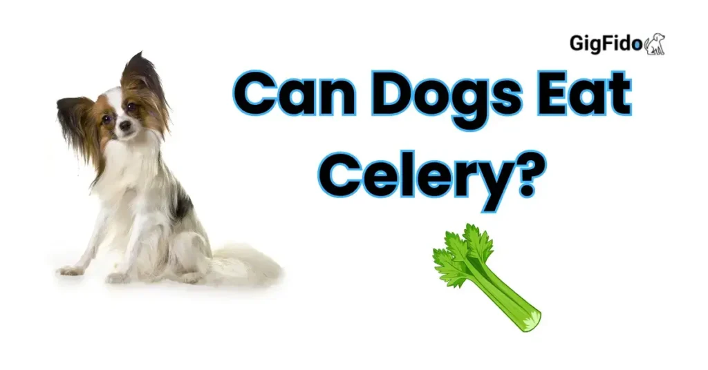 Can Dogs Eat Celery?