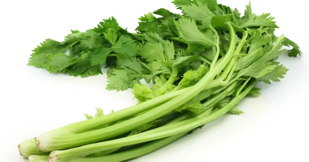 Celery