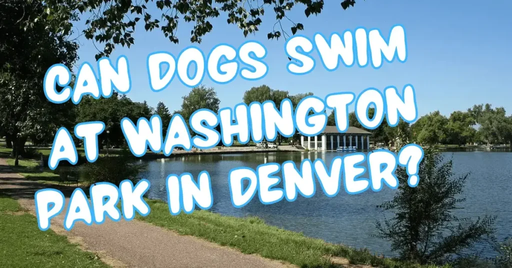 Can Dogs Swim at Washington Park in Denver