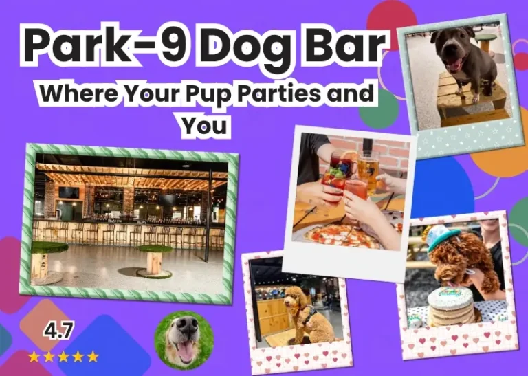 Park-9 Dog Bar