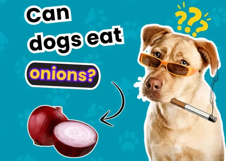 Can Dogs Eat Onions?