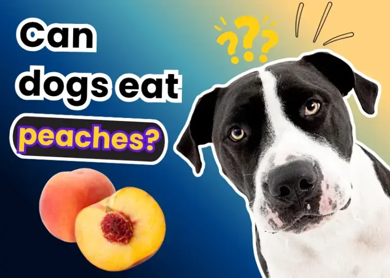 can dogs eat peaches