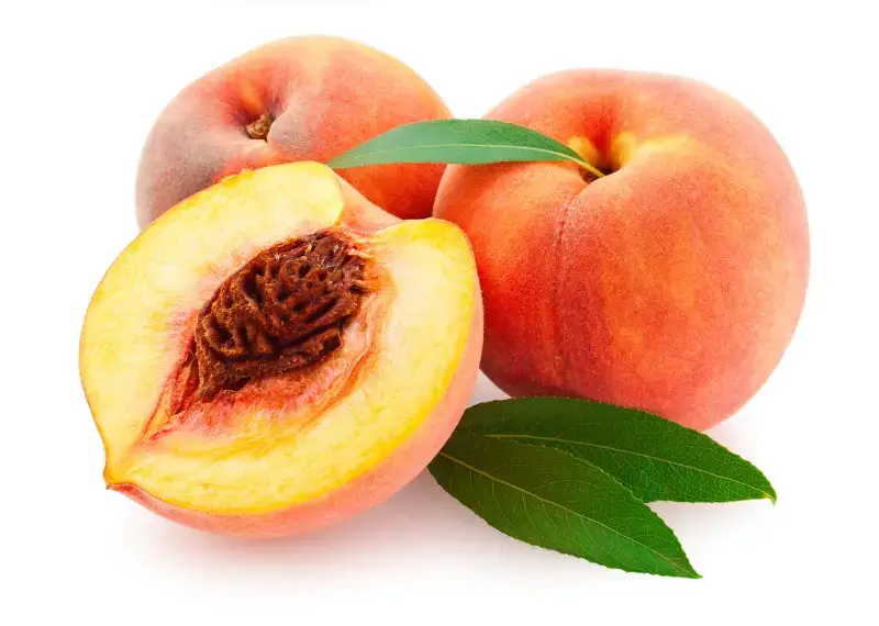 Can Dogs Eat Peaches?