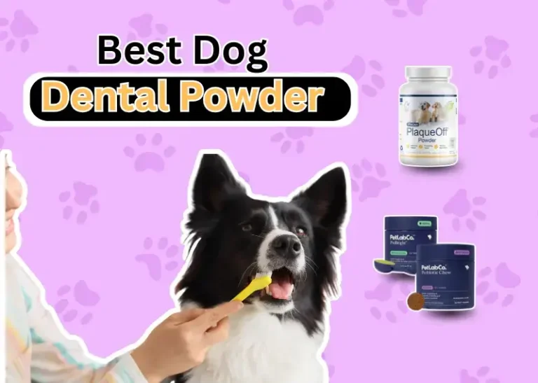Best Dog Dental Powder