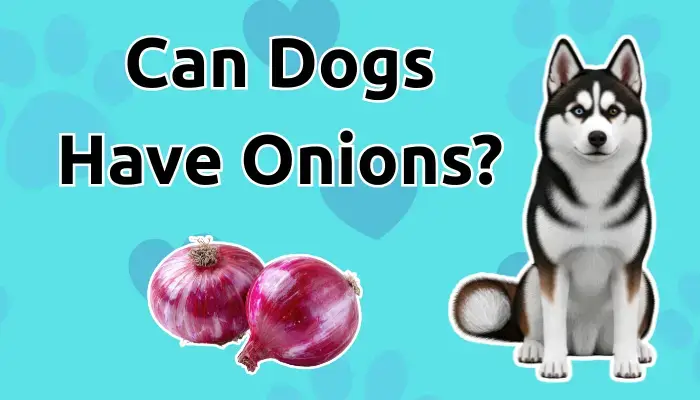 Can Dogs Have Onions