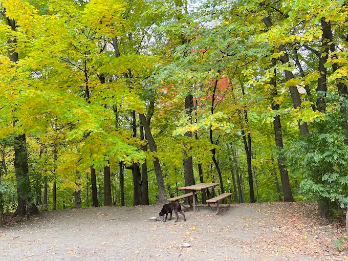 Elm Creek Park Reserve - Dog Off-leash Area 
