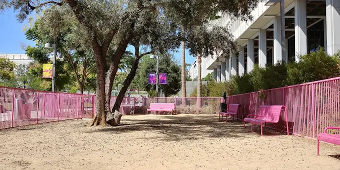 Grand Park Dog Park LA