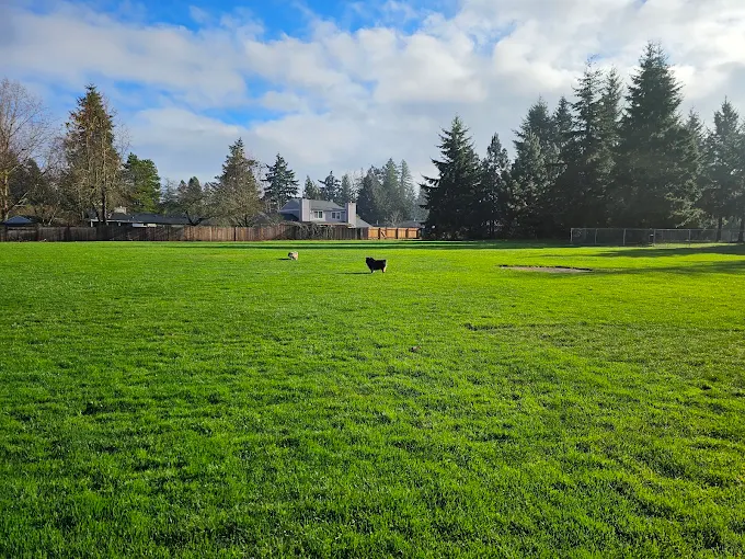 Hazeldale Park Dog Park in Aloha