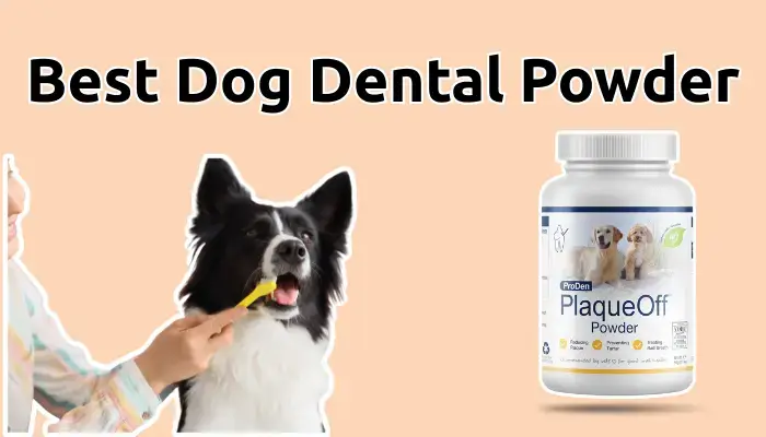 Dog Dental Powder