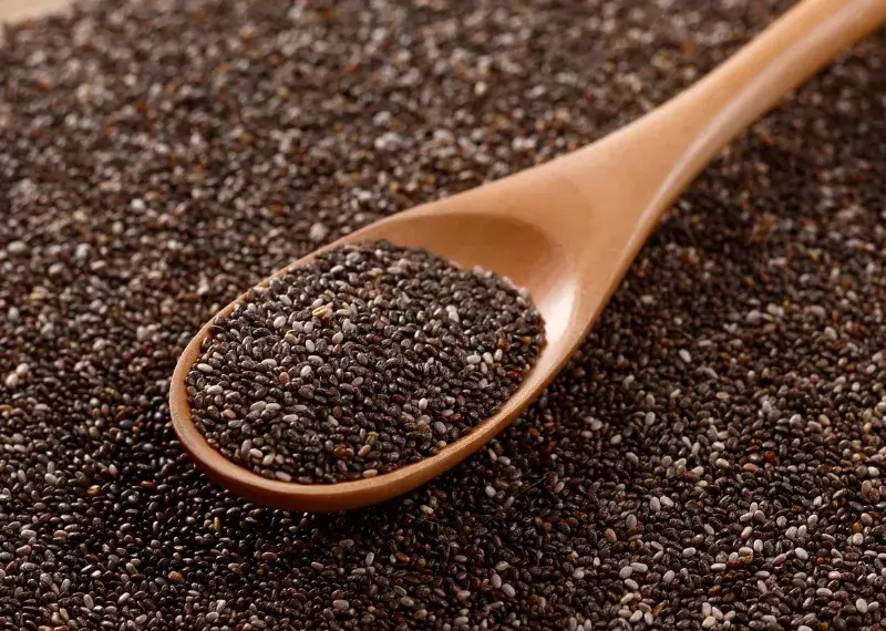 Are Sesame Seeds Safe for Dogs