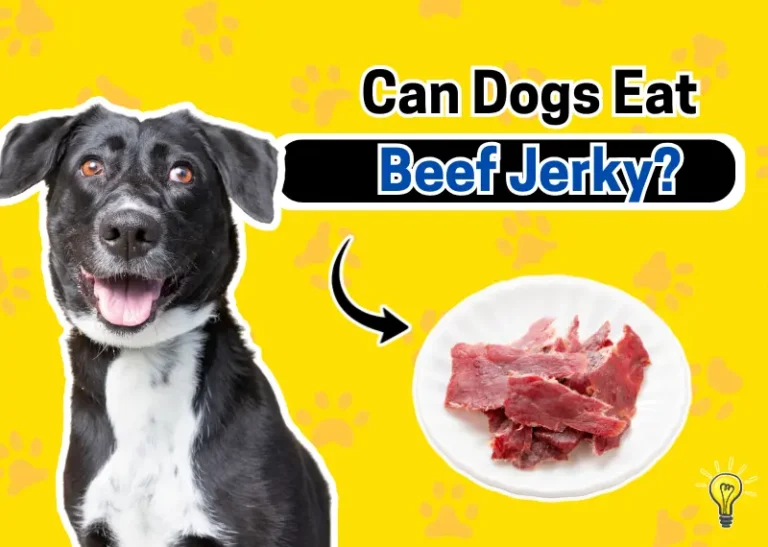 Can Dogs Eat Beef Jerky?