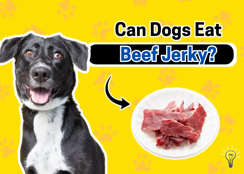 Can Dogs Eat Beef Jerky?