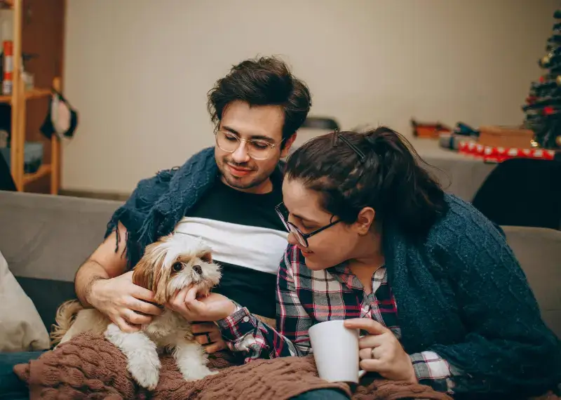 Can Dogs Eat Beef Jerky (1)