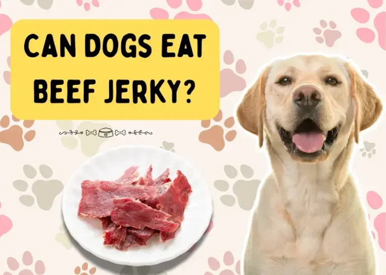 Can Dogs Eat Beef Jerky?