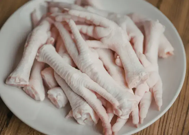 Can Dogs Eat Chicken Feet