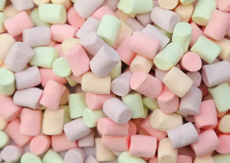 Can Dogs Eat Marshmallows? 