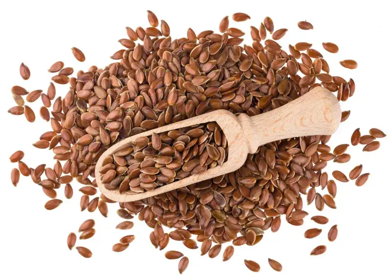 Can Dogs Eat Sesame Seeds