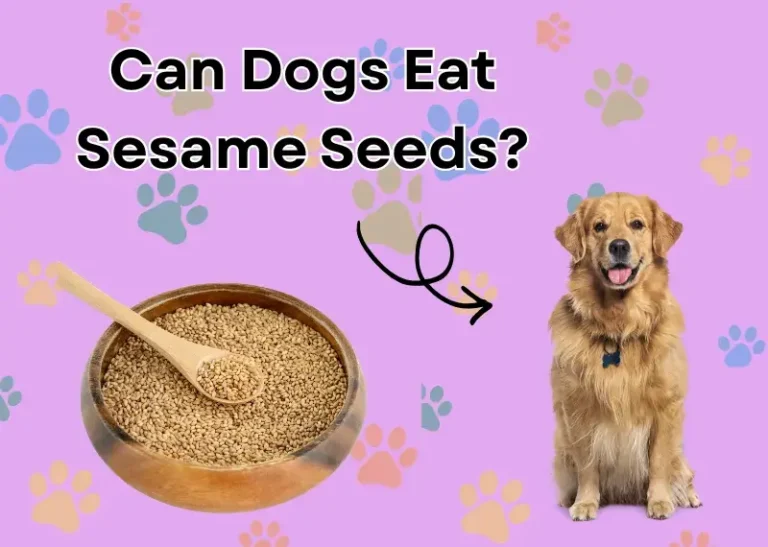 Can Dogs Eat Sesame Seeds