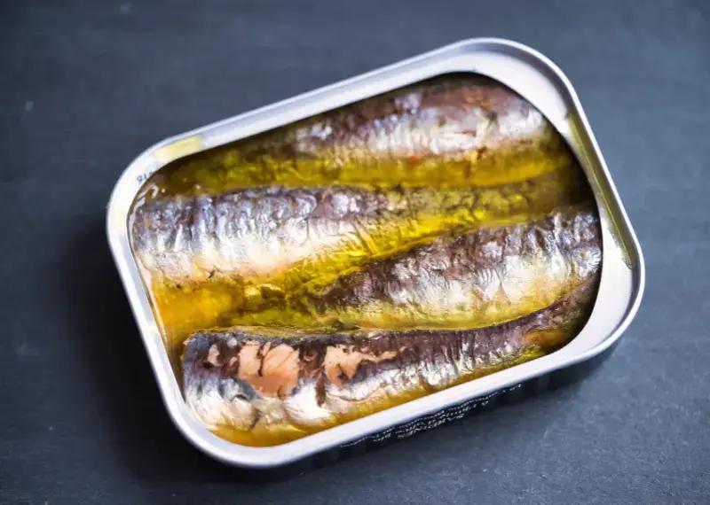 Can Dogs Eat sardines