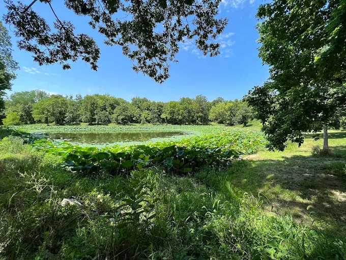 tails & trails dog park at queeny park(membership)